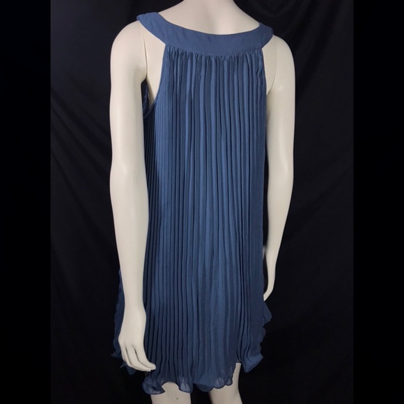 Blu Pepper Pleated Dress - Picture 2 of 3